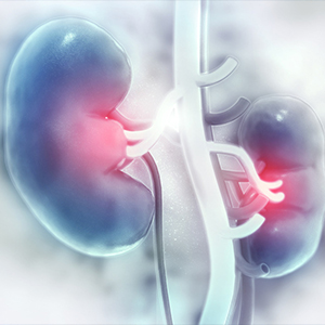 Kidney Failure treatment in Vijayawada