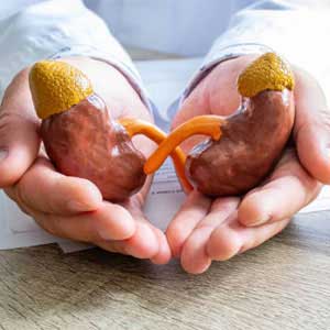 kidney transplantation in vijayawada