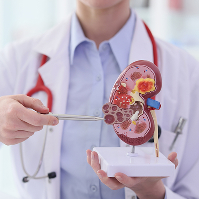 Nephrologist in Vijayawada