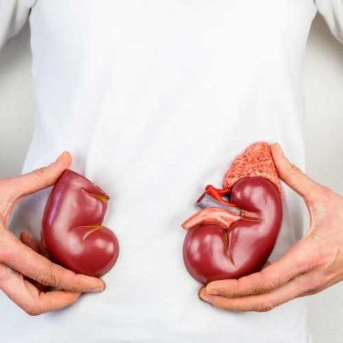 kidney transplantation in vijayawada